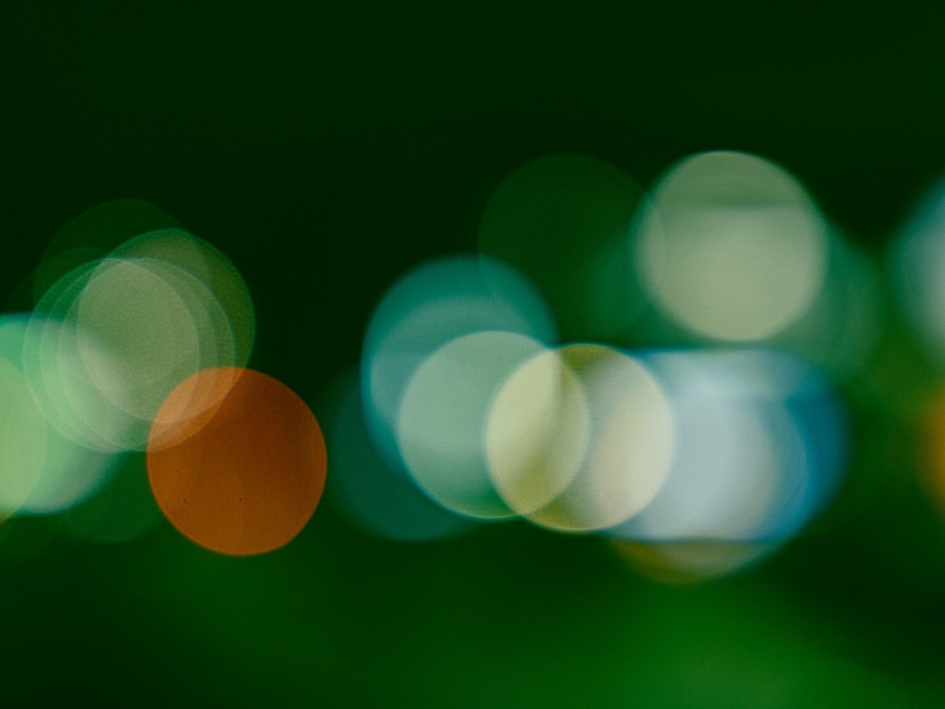投稿画像 5