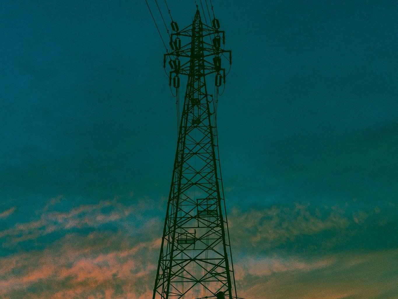 投稿画像 7