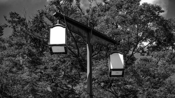 自然物と人工物