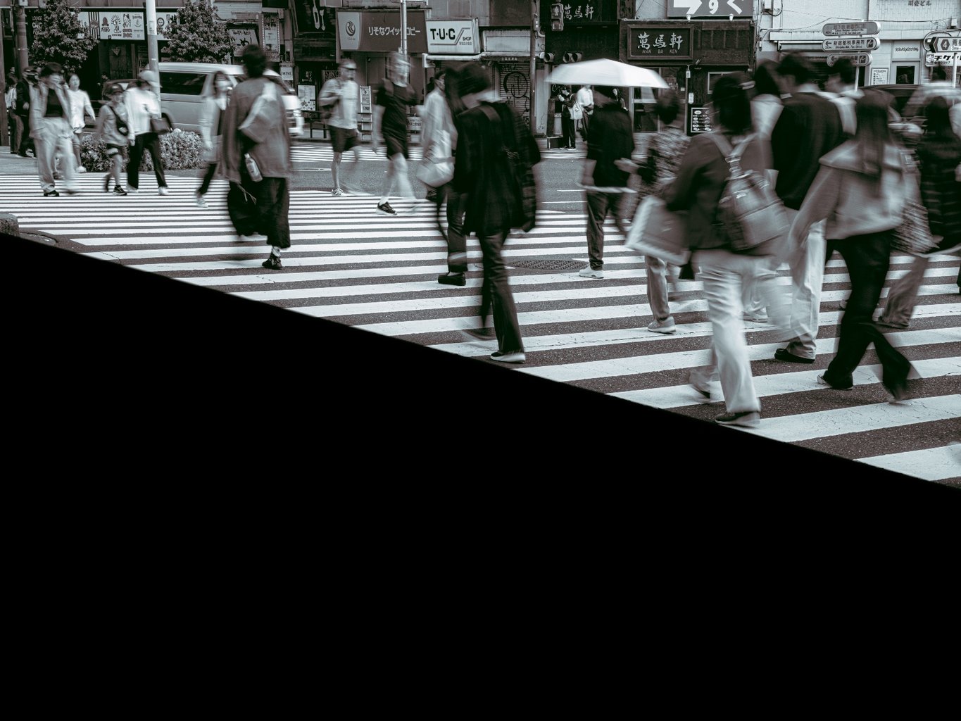 投稿画像 3