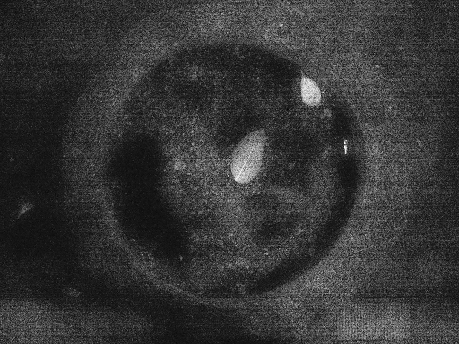 メイン投稿画像