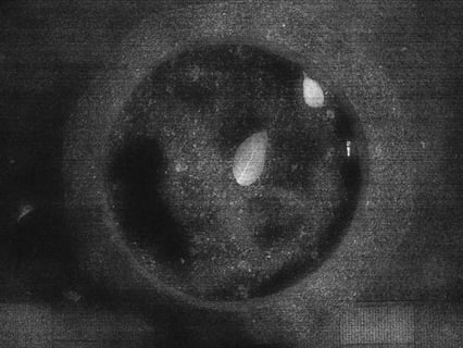 知覚に時間のかかる美について