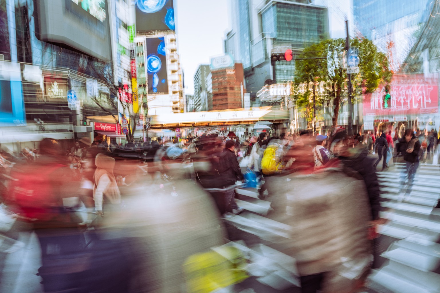 メイン投稿画像