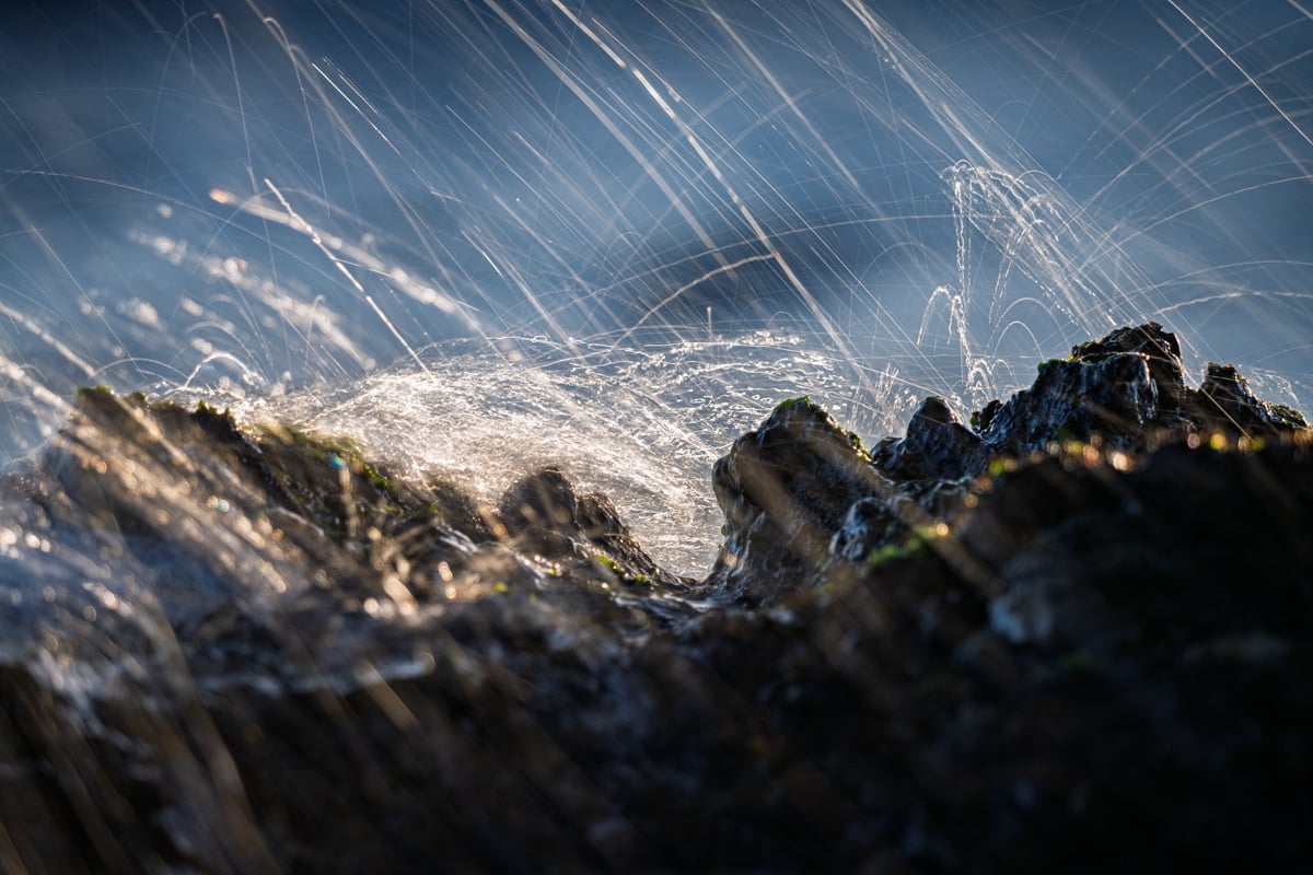 メイン投稿画像