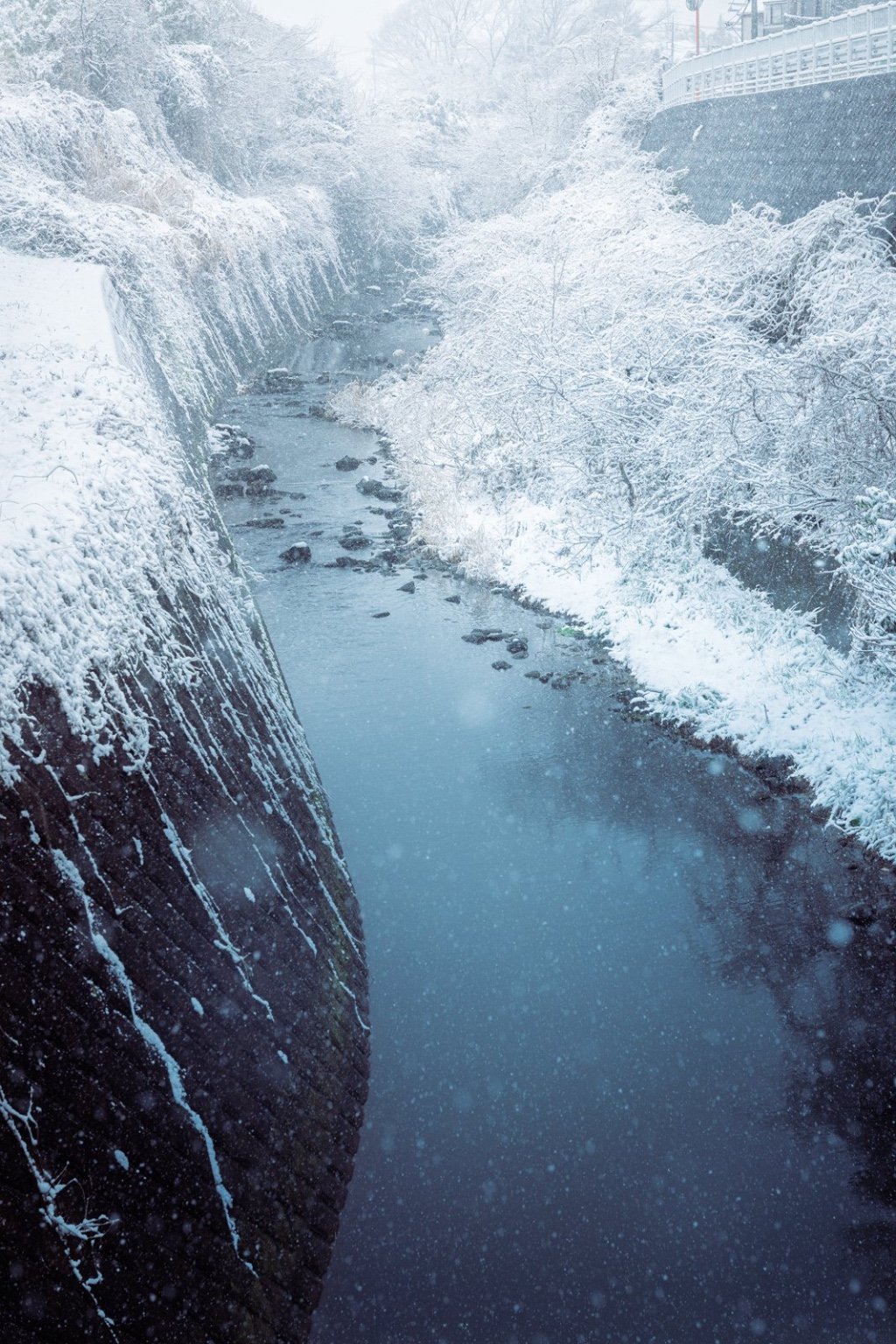 メイン投稿画像