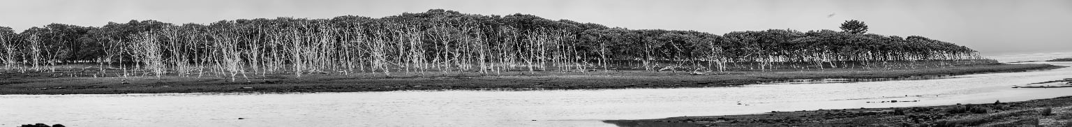 パノラマ野付半島