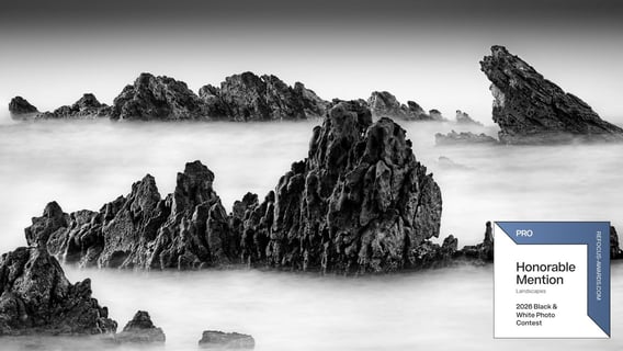 reFocus awardsのBlack & White Photo ContestでHonorable MentionsとNomineeを獲得しました。
