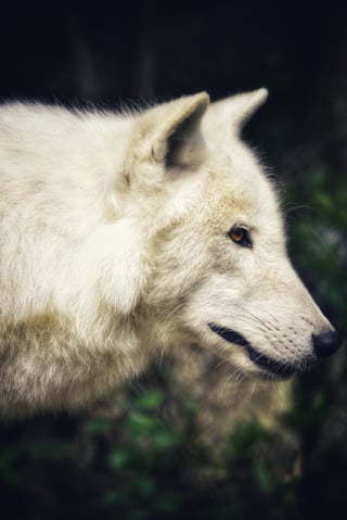 東山動物園で初めて200〜500の望遠レンズ
使ってみました！！