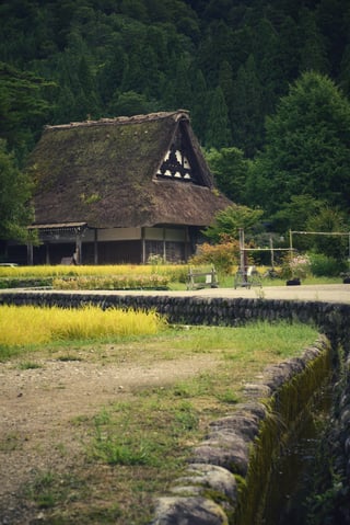白川郷は四季それぞれに魅力詰まってて
違う季節にもいきたくなる...!!
