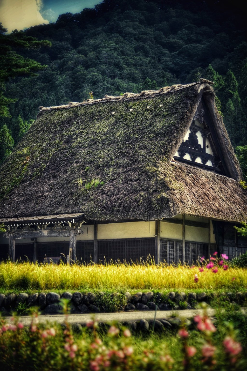 投稿画像 2