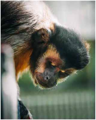 「哀愁」

京都で写真と映像を撮っています。