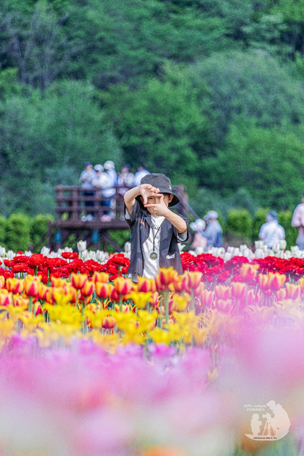 メイン投稿画像