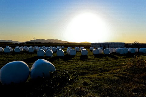 深まる北海道の秋