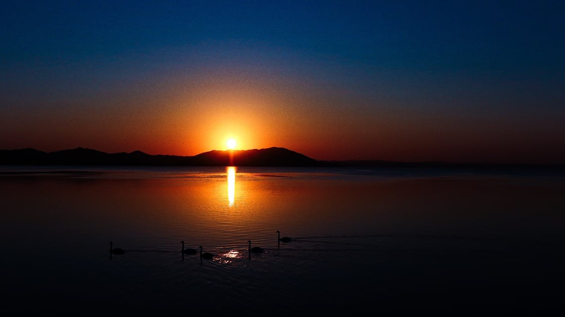 メイン投稿画像