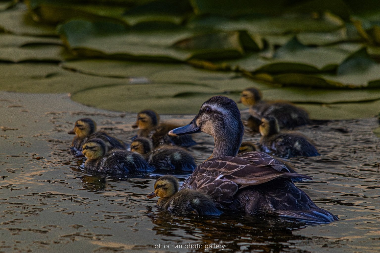 メイン投稿画像