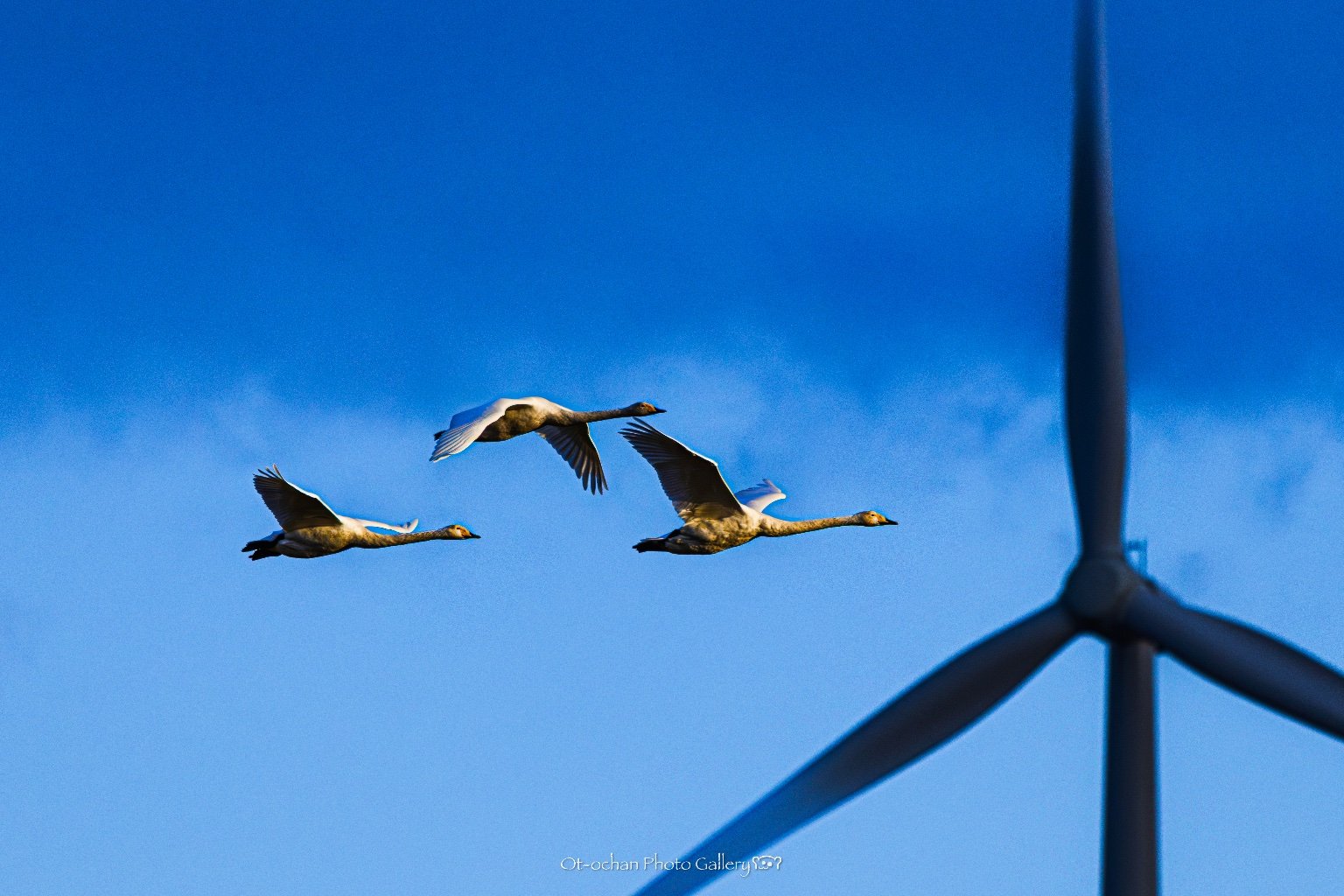 メイン投稿画像