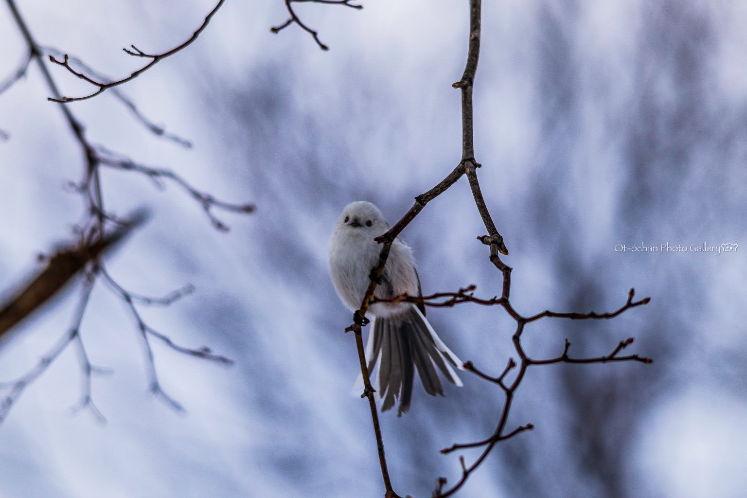 メイン投稿画像