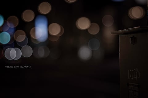 “Where silence shines.”
.
.
.
.
.
静けさにも、温度がある。
.
.
Pictures don’t lie.
But what do you see?
________________________
Date:2026.5
Location:Kitami,Hokkaido,Japan
________________________