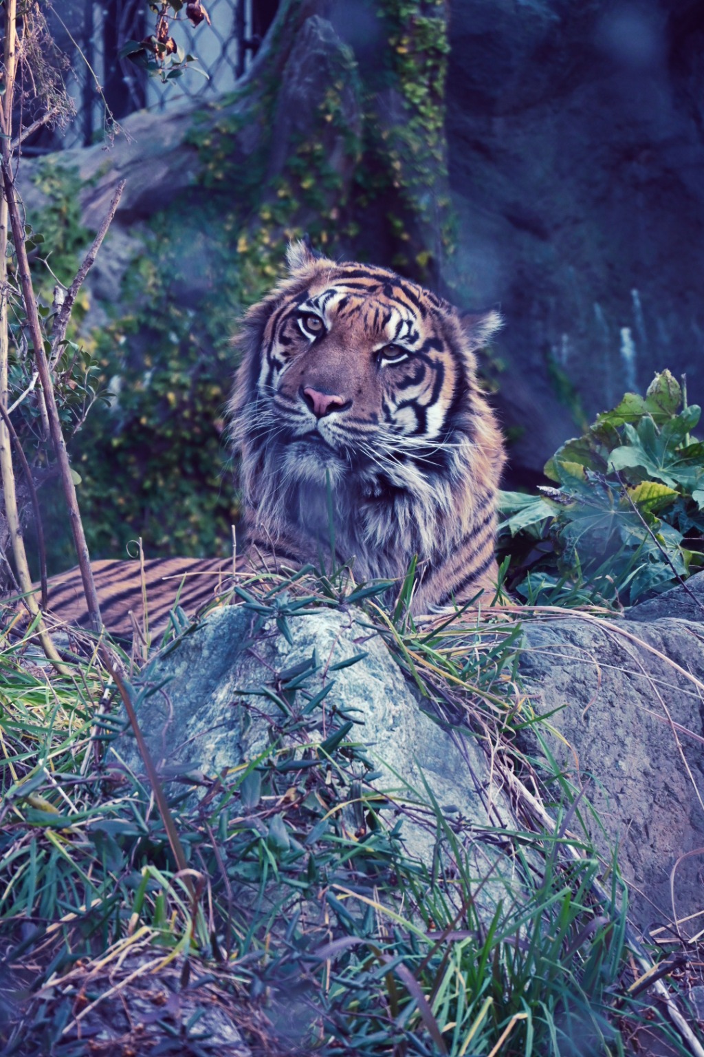 メイン投稿画像