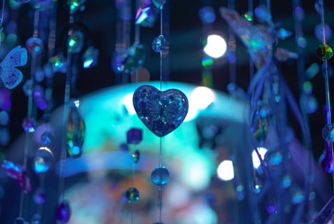 キラキラの世界🌟
キラキラと水槽がとても綺麗でした！