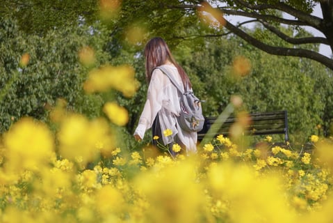 キバナコスモスに囲まれて楽しかった🌼