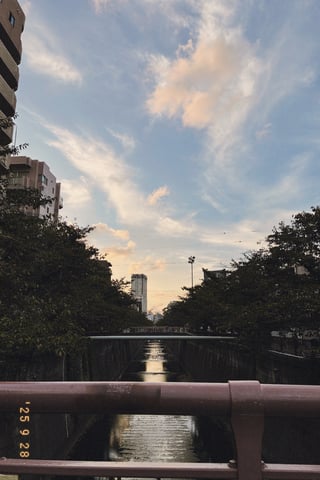 夕暮れ時に綺麗だったので撮りました。
