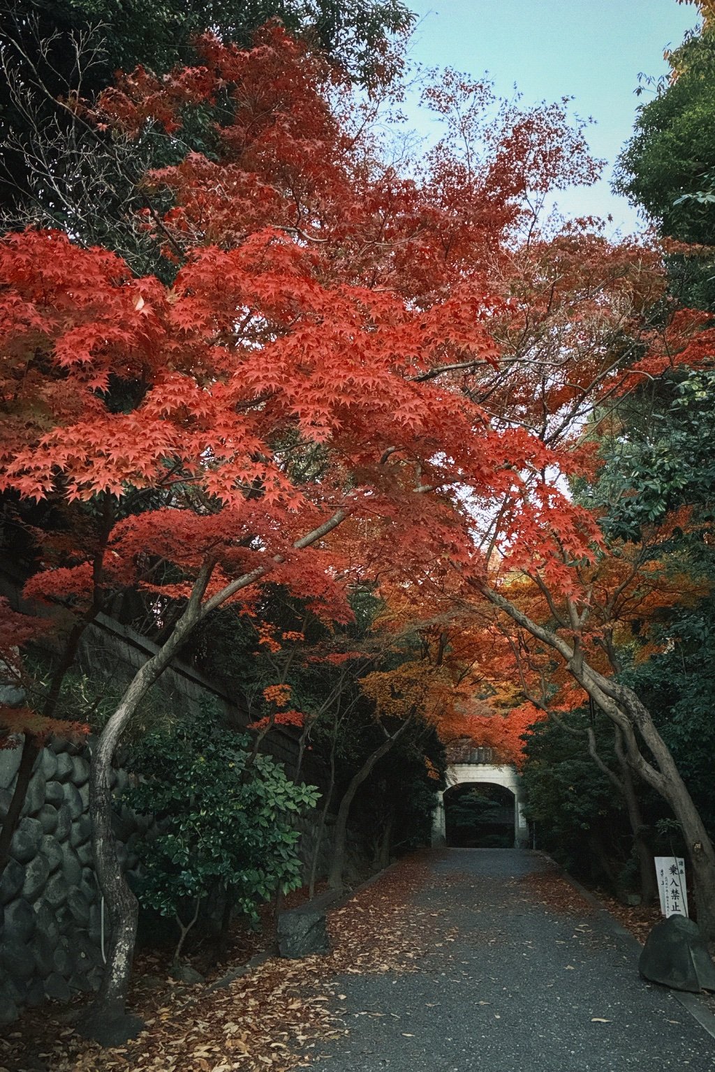 メイン投稿画像