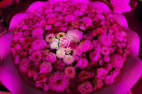 ピンクリボン運動のライトアップ