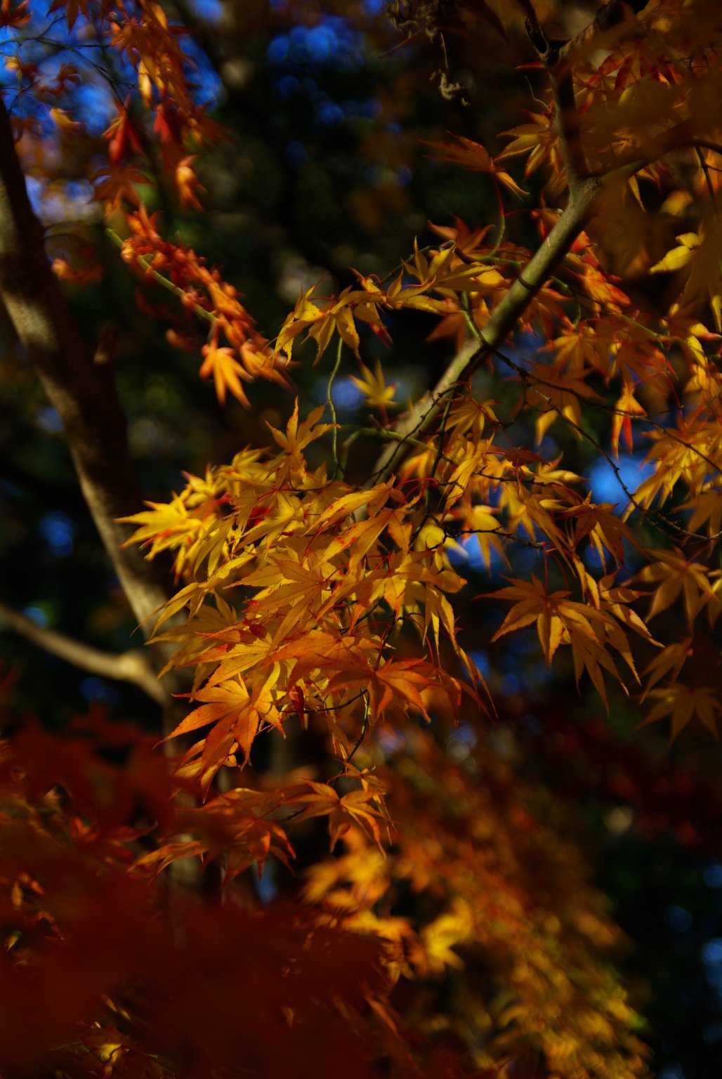 メイン投稿画像