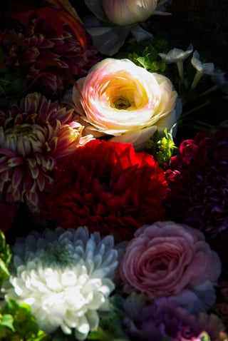 スポットライト