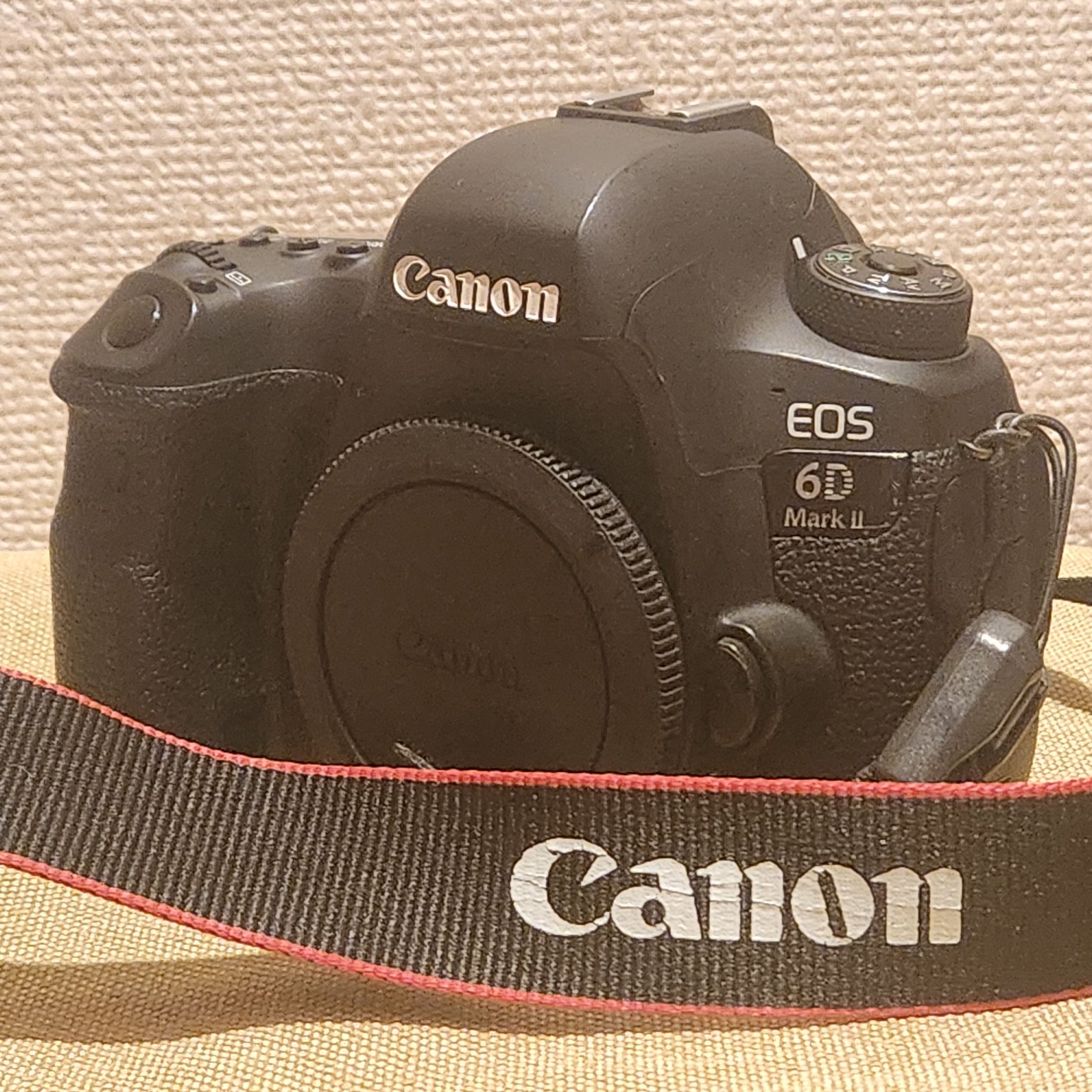 2025年最新】Canon(キヤノン) EOS 6D(イオス 6D)シリーズ カメラの新作