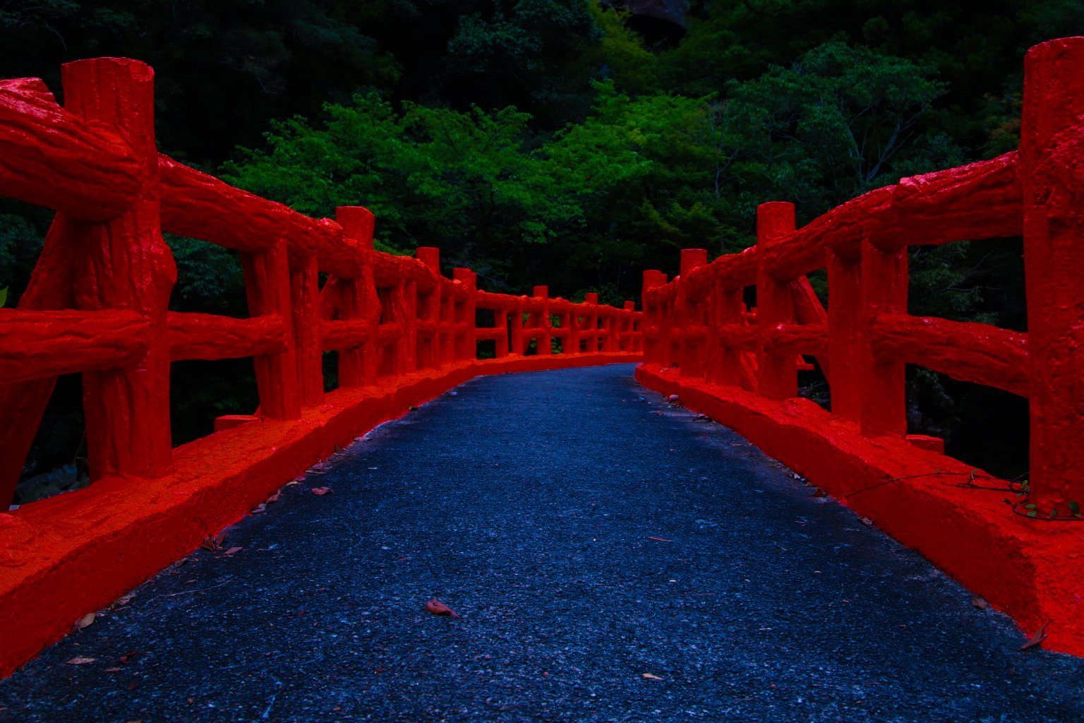 投稿画像 2