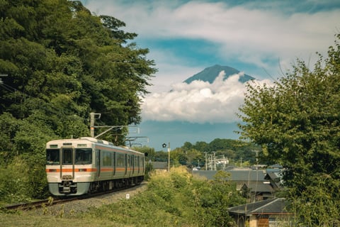これを狙いに山道7km歩いて、撮れたときの達成感。
カメラ沼、レンズ沼、色々あるが
私は散歩沼にハマっているのかもしれない。