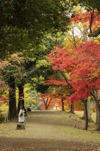 上田城跡地には沢山の秋がありました。