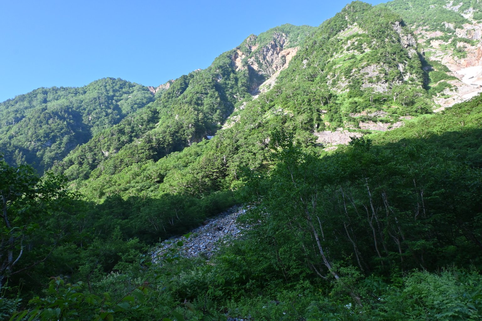 メイン投稿画像