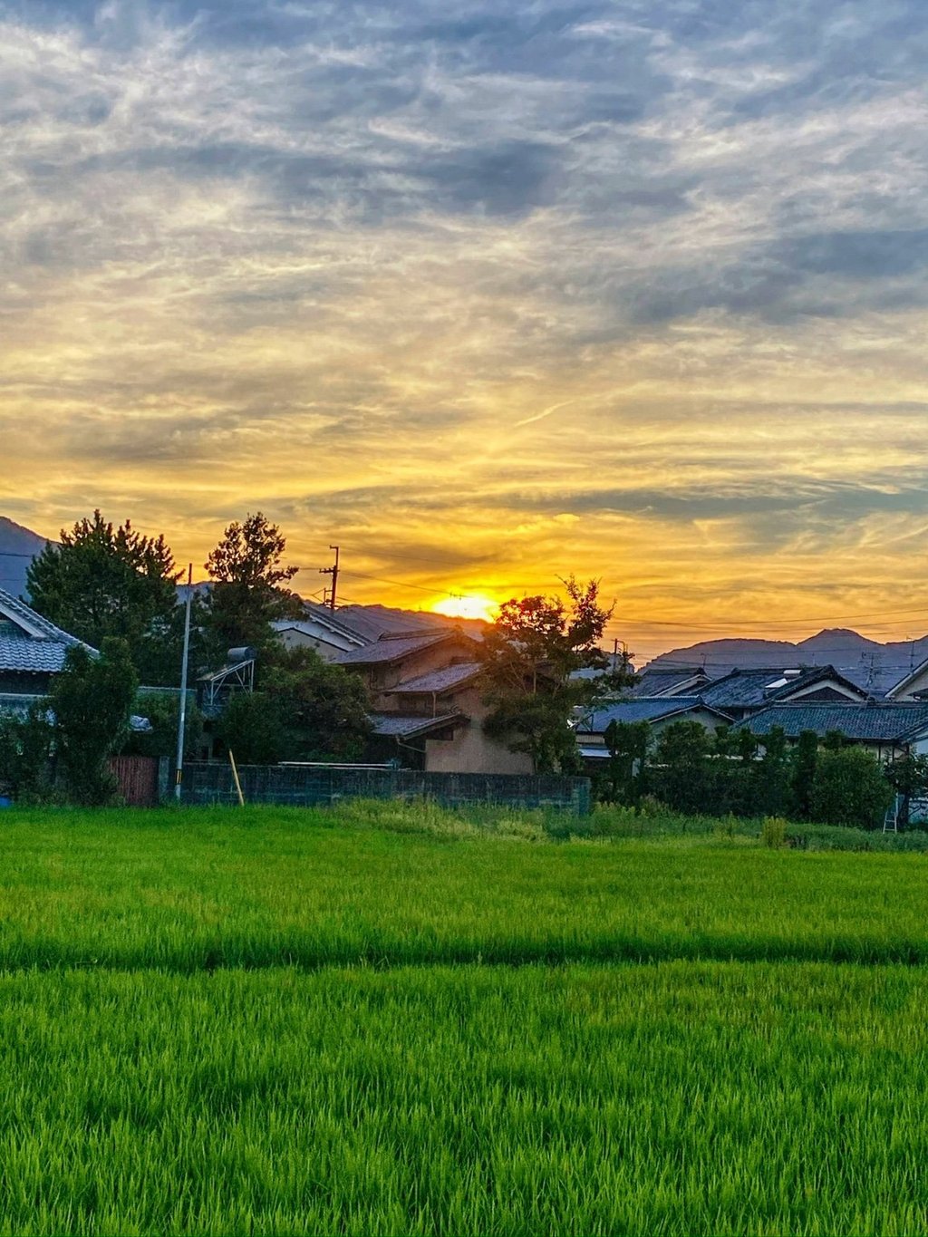 メイン投稿画像