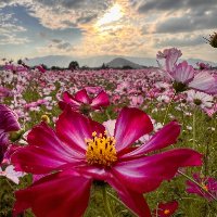 ユーザーアイコン