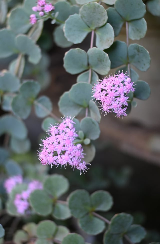 メイン投稿画像