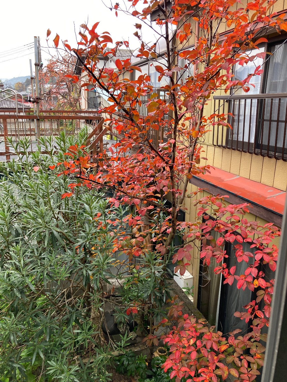 メイン投稿画像