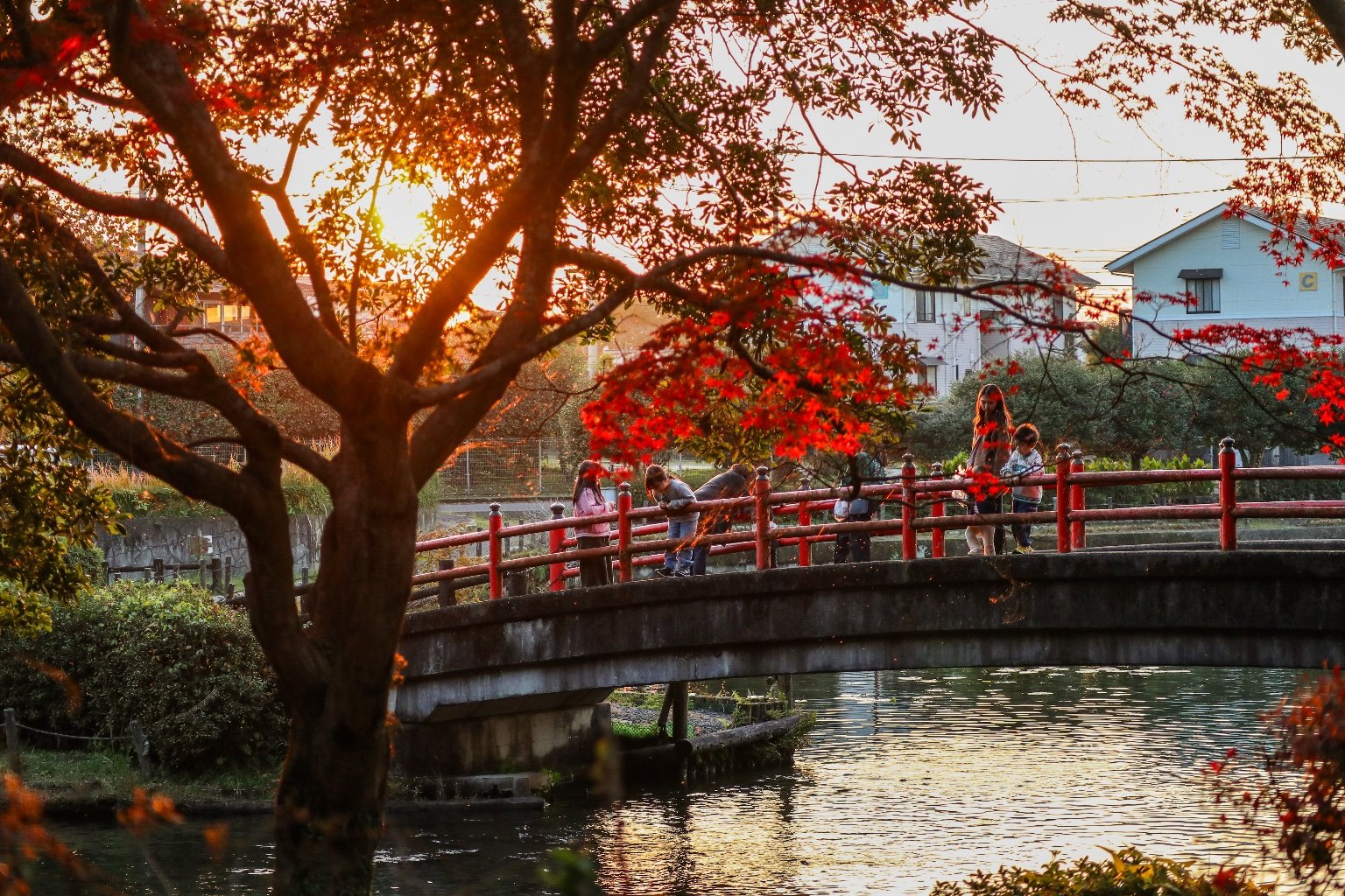 メイン投稿画像