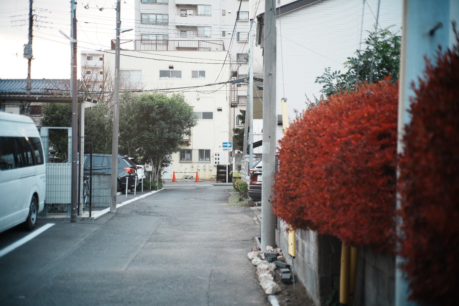 メイン投稿画像