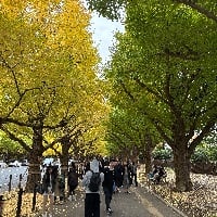 ユーザーアイコン