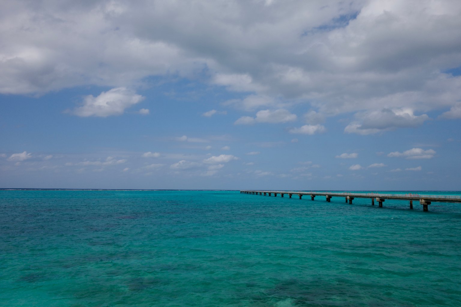 メイン投稿画像