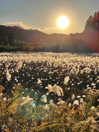 君津市の山道走ってたらたまたま見つけました✨