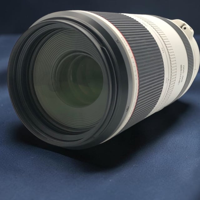 RF 100-500mm F4.5-7.1 L IS USM