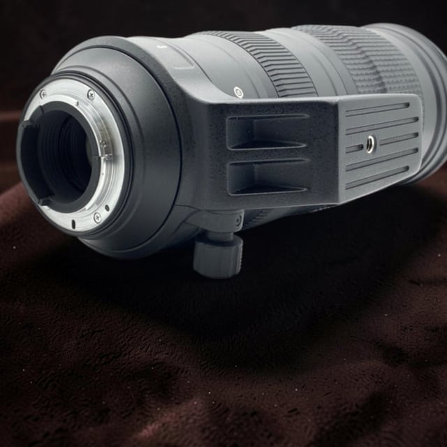 AF-S NIKKOR 200-500mm f/5.6E ED VR