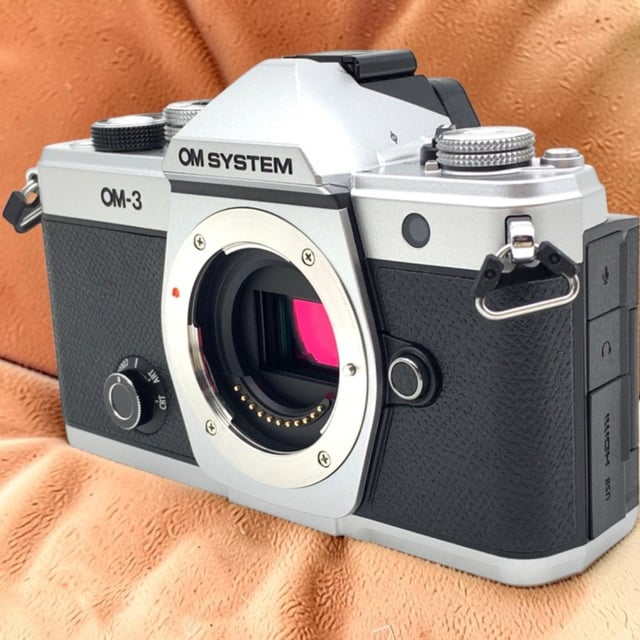 OM-3 ボディ