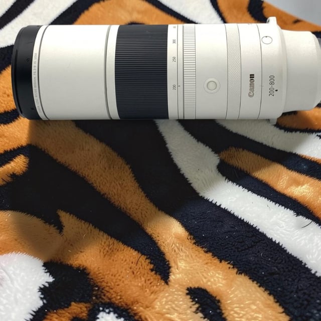 RF 200-800mm F6.3-9 IS USM