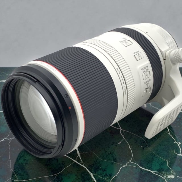 RF 100-500mm F4.5-7.1 L IS USM