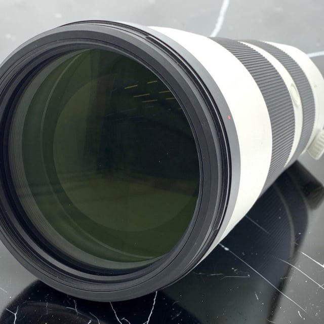 FE 200-600mm F5.6-6.3 G OSS SEL200600G